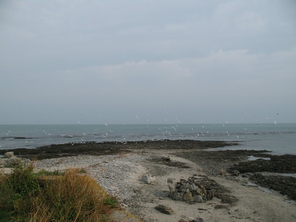 Plage de Basse Normandie (Manche)