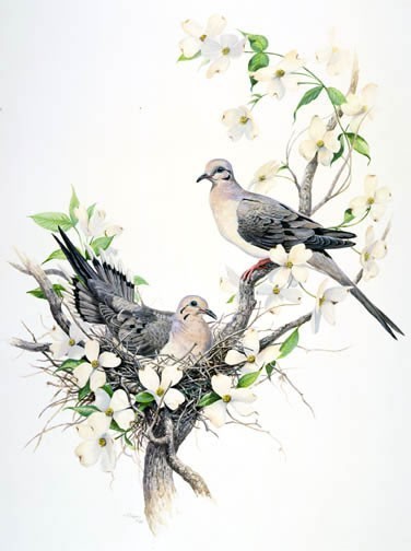 Oiseaux de Linda Picken