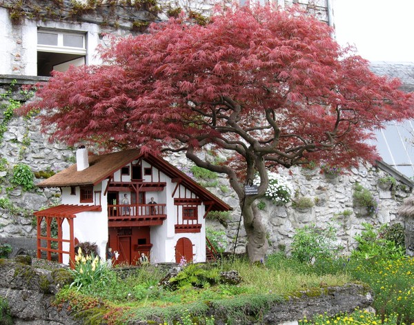 Le Chateau fort et le musée pyrénéen de Lourdes