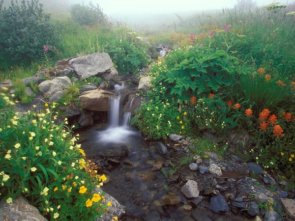 Paysages -Printemps -Eté