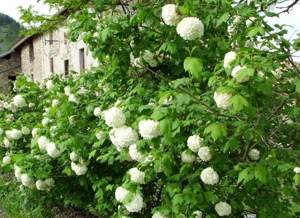 Paysages -Printemps -Eté