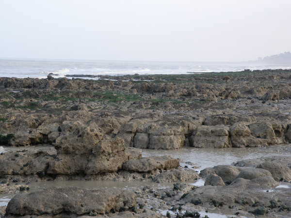 Plage de Picardie