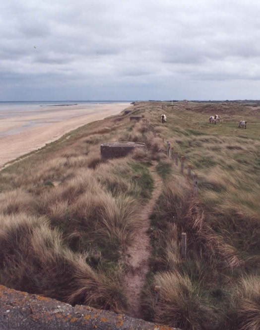 Plage de Basse Normandie (Manche)