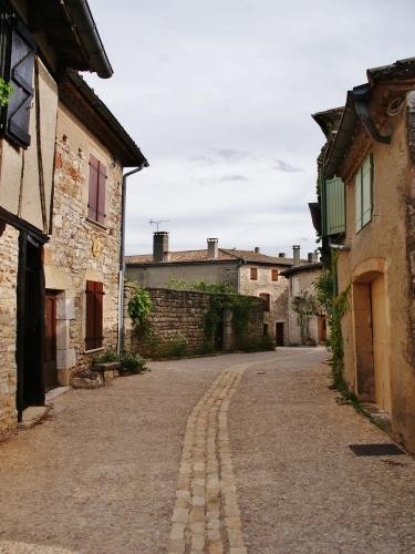 Beau village de Puycelsi