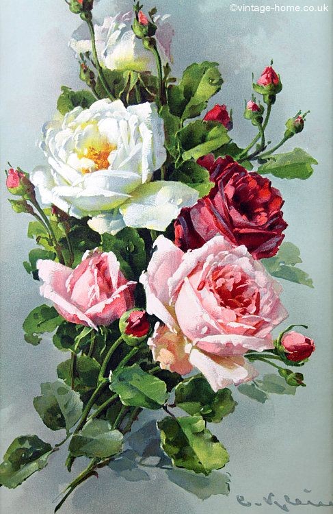 Fleurs de Catherine Klein