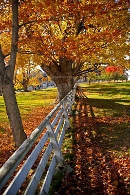 Paysage d'automne