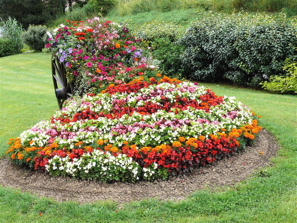 Fleurs et paysages ( printemps-été)