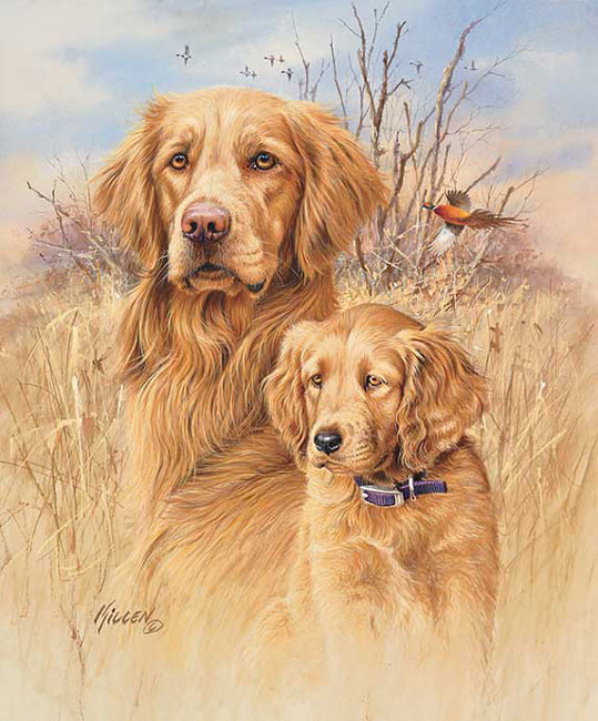  Animaux de Linda Picken (chiens)