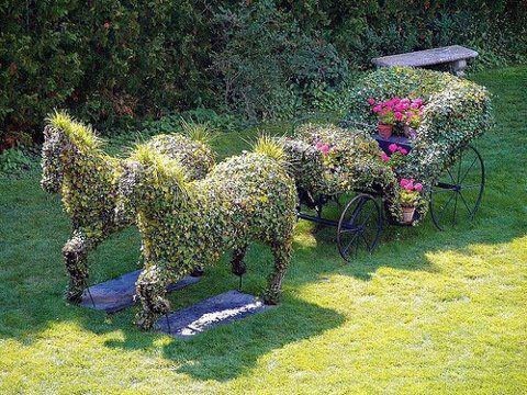 Sculture florale- Topiaire