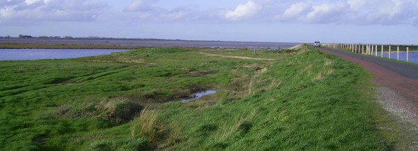 Plage de Basse Normandie (Manche)