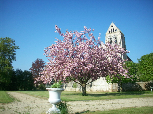 Paysages -Printemps -Eté