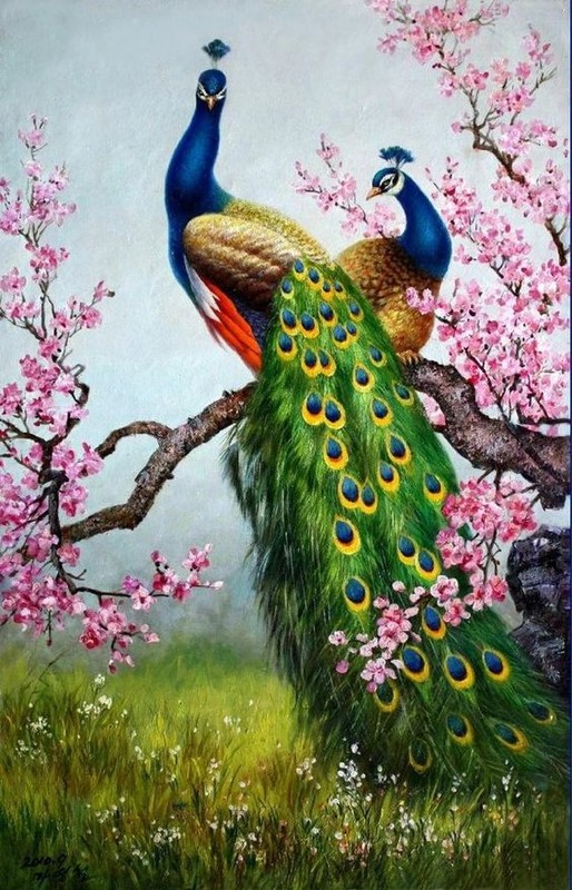Superbe  peinture  d'oiseaux