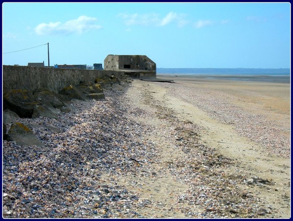 Plage de Basse Normandie (Manche)