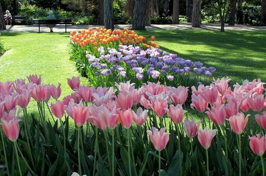 Parc et jardin fleuris