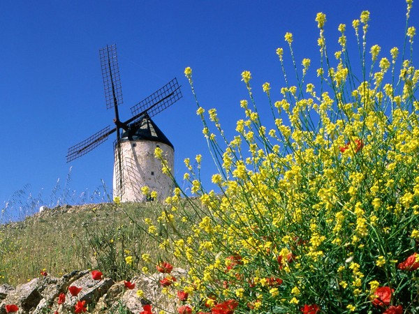 Paysages -Printemps -Eté