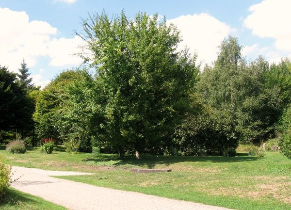 Le parc de Samara - La Chaussée Tirancourt