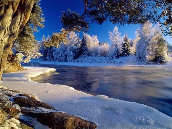 Paysage d'hiver