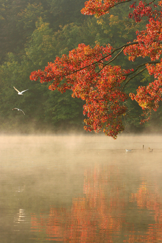 Paysage d'automne