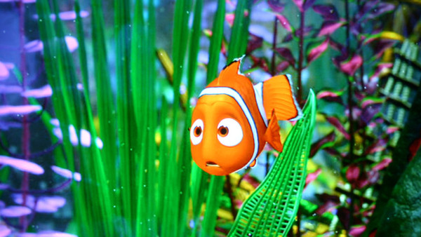 Nemo (Disney)