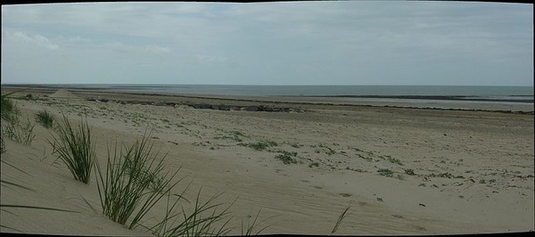 Plage de Basse Normandie (Manche)