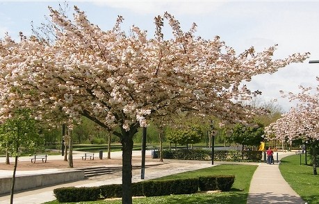 Amiens- Le parc Saint Pierre