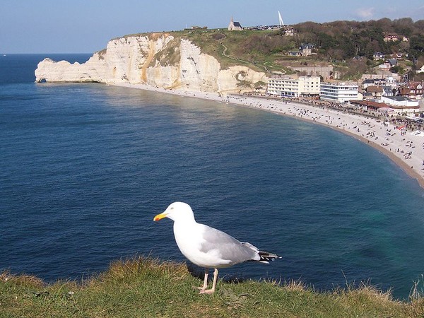 Plage de Haute Normandie