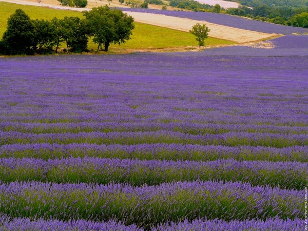 Paysages -Printemps -Eté