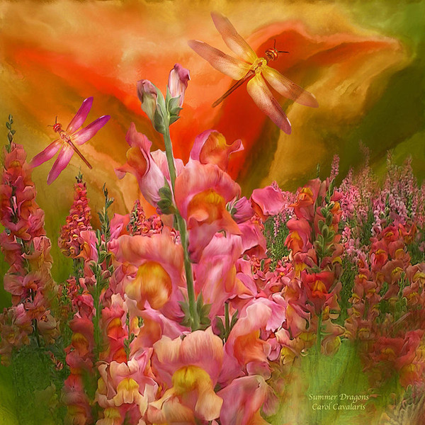 Fleurs de Carol Cavalaris