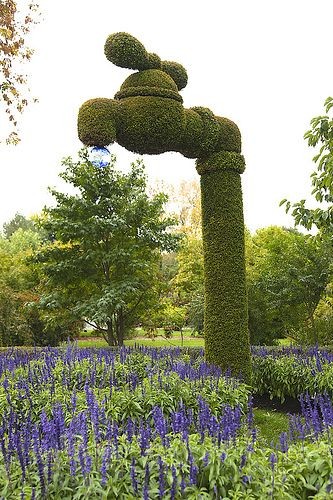 Sculture florale -Topiaire