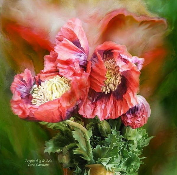 Fleurs de Carol Cavalaris