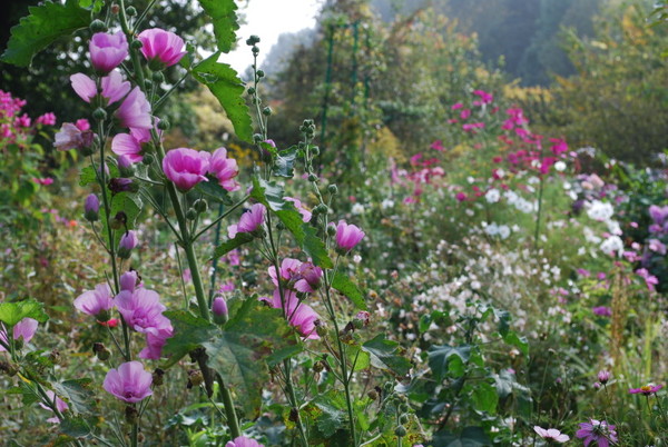 Couleurs et parfums d'Automne