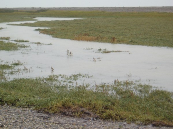 Plage de Picardie