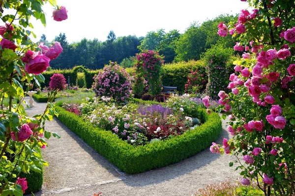  Jardin fleuri