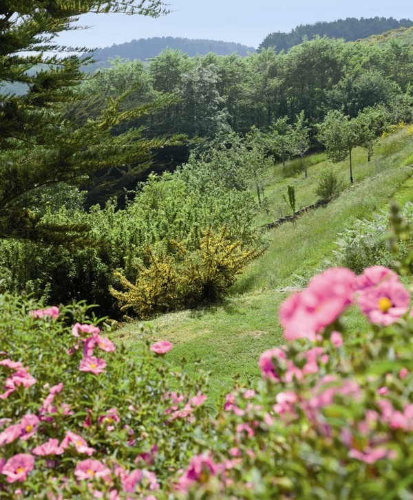 Paysages -Printemps -Eté