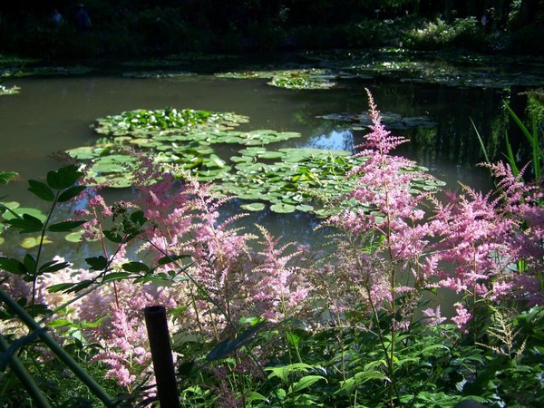 Paysages -Printemps -Eté