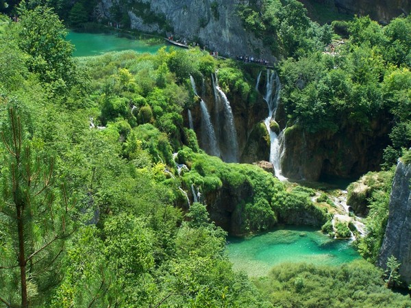 Les merveilles du monde naturel