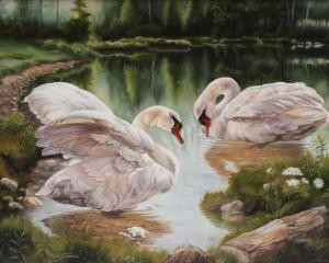 Superbes peintures d'oiseaux