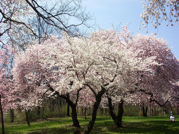 Paysages -Printemps -Eté