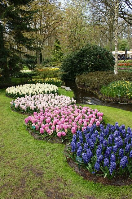 Parc et jardin  fleuris 