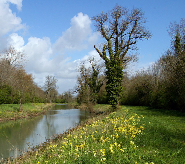 Paysages -Printemps -Eté