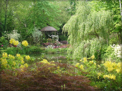 Paysages -Printemps -Eté