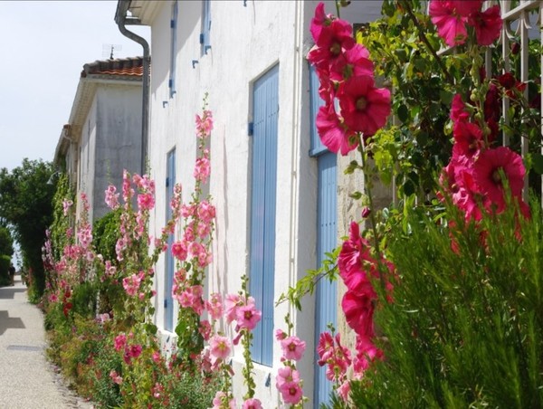 Beau village de Talmont-sur-Gironde