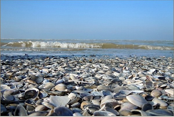 Plage de Picardie