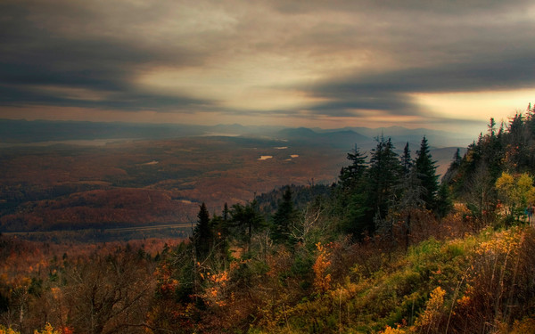 Paysage d'automne