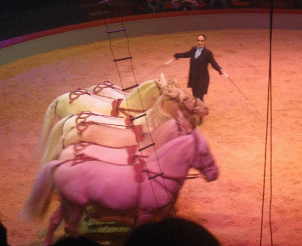 Amiens-Le cirque Arlette Gruss