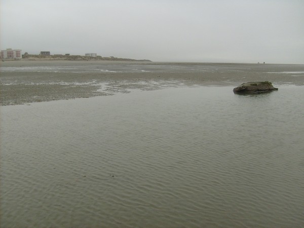 Plage du Nord - Pas de Calais