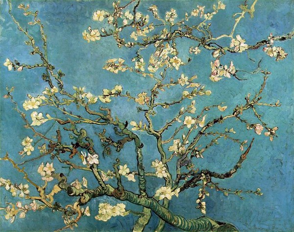 Peintre célèbre- Vincent Van Gogh