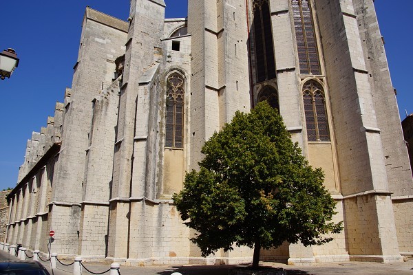 Basilique Sainte Marie Madeleine à Saint-Maximin