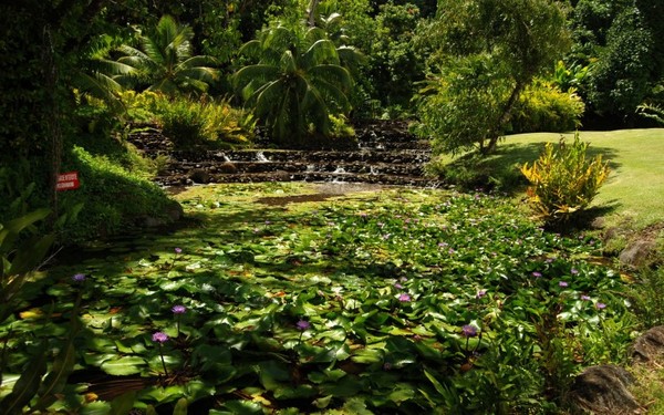 Parc  au printemps