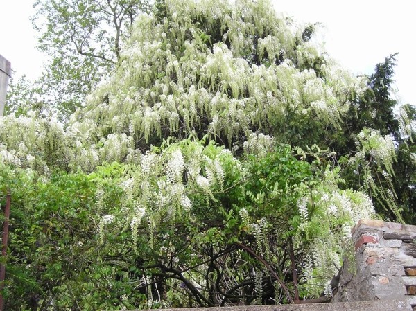 Paysages -Printemps -Eté